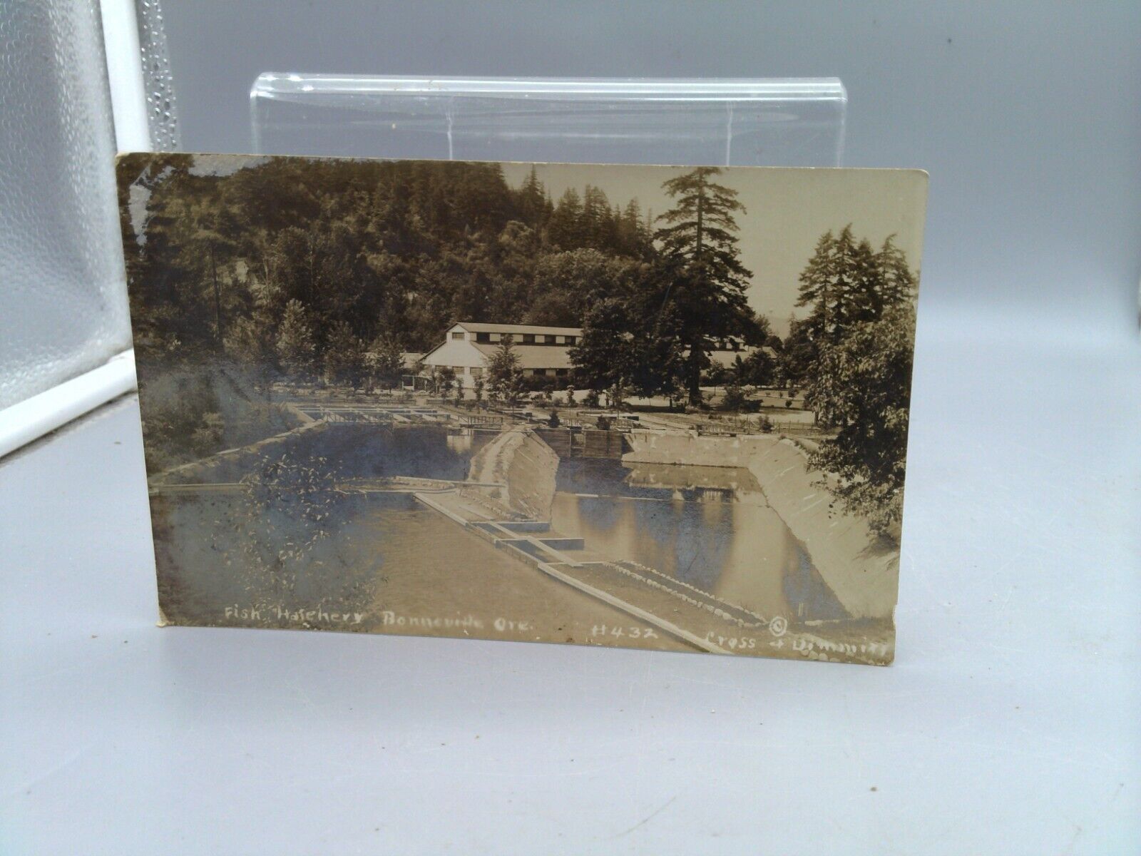 Bonneville, OR Postcard Old Vintage Card Fish Hatchery 