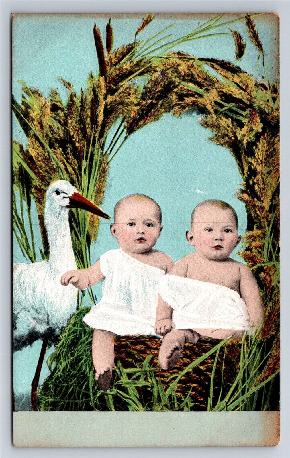 Postcard Stork Baby Announcement Stork With Twins In Nest c1910s AN22