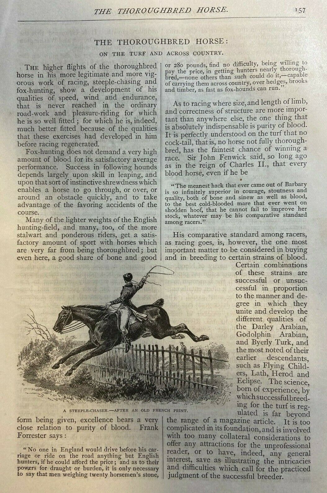 1877 Thoroughbred Horses  illustrated
