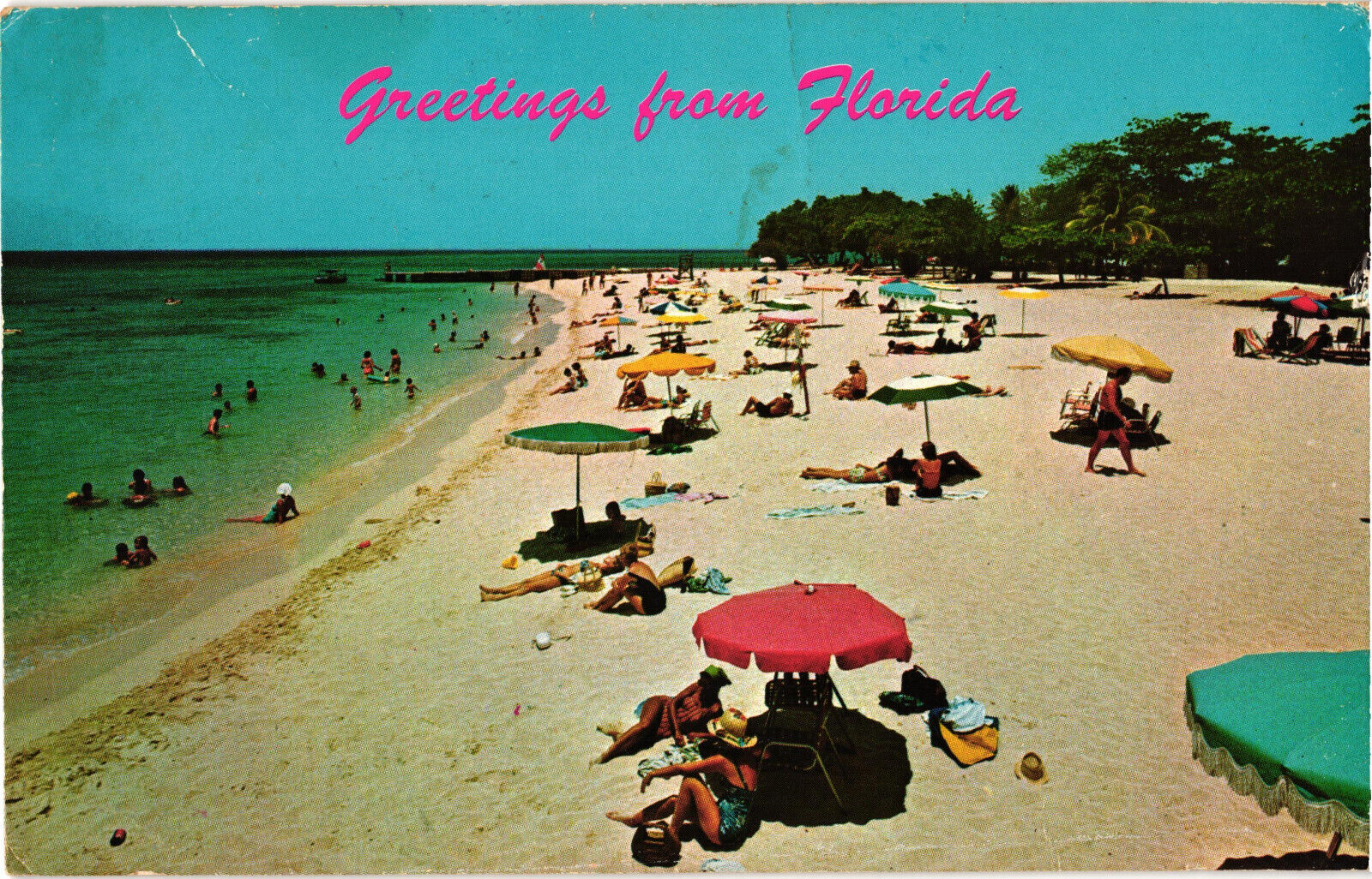 Greetings from Florida Postcard Posted Sandy Beaches