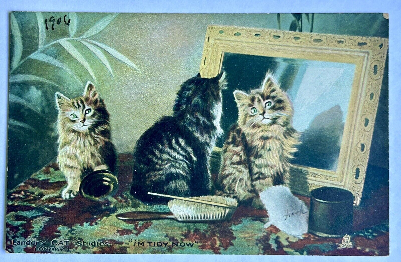 Landors Cat Studies. 1906. I’m Tidy Now. Kittens By Mirror Vintage Postcard