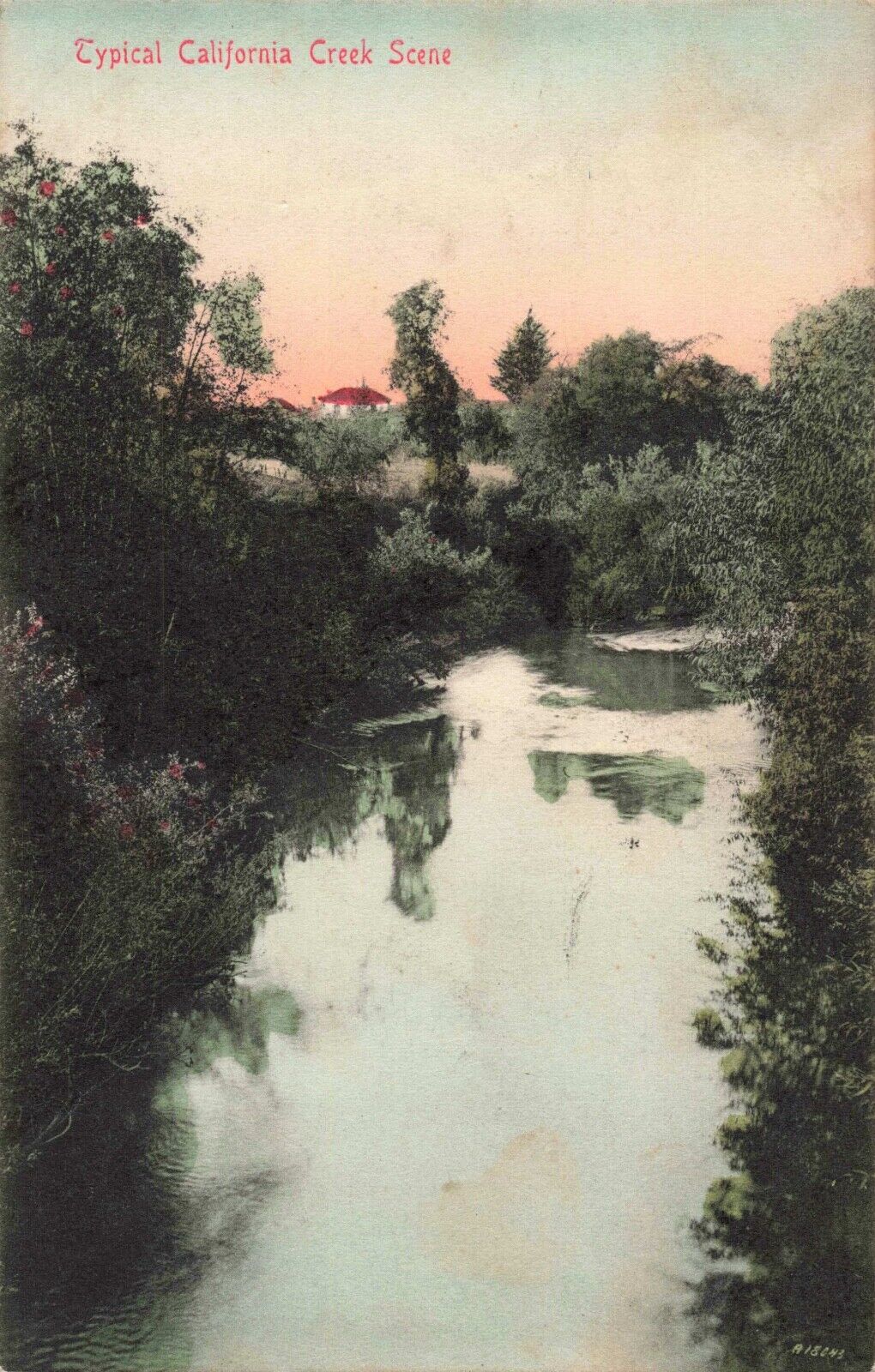 A Typical California Creek Scene CA PM Rialto c1910 Postcard