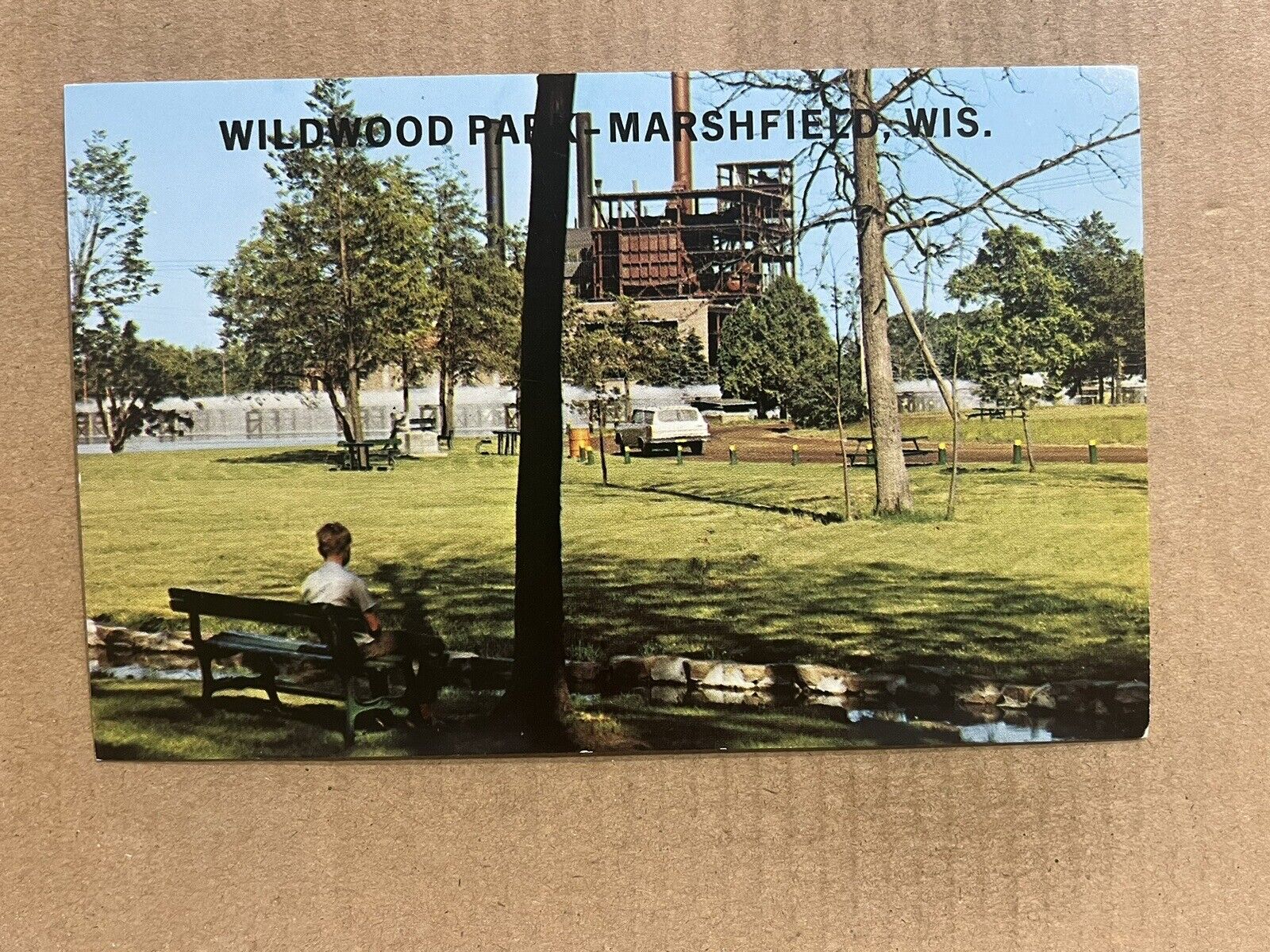 Postcard Marshfield WI Wisconsin Wildwood Park Greetings Vintage PC