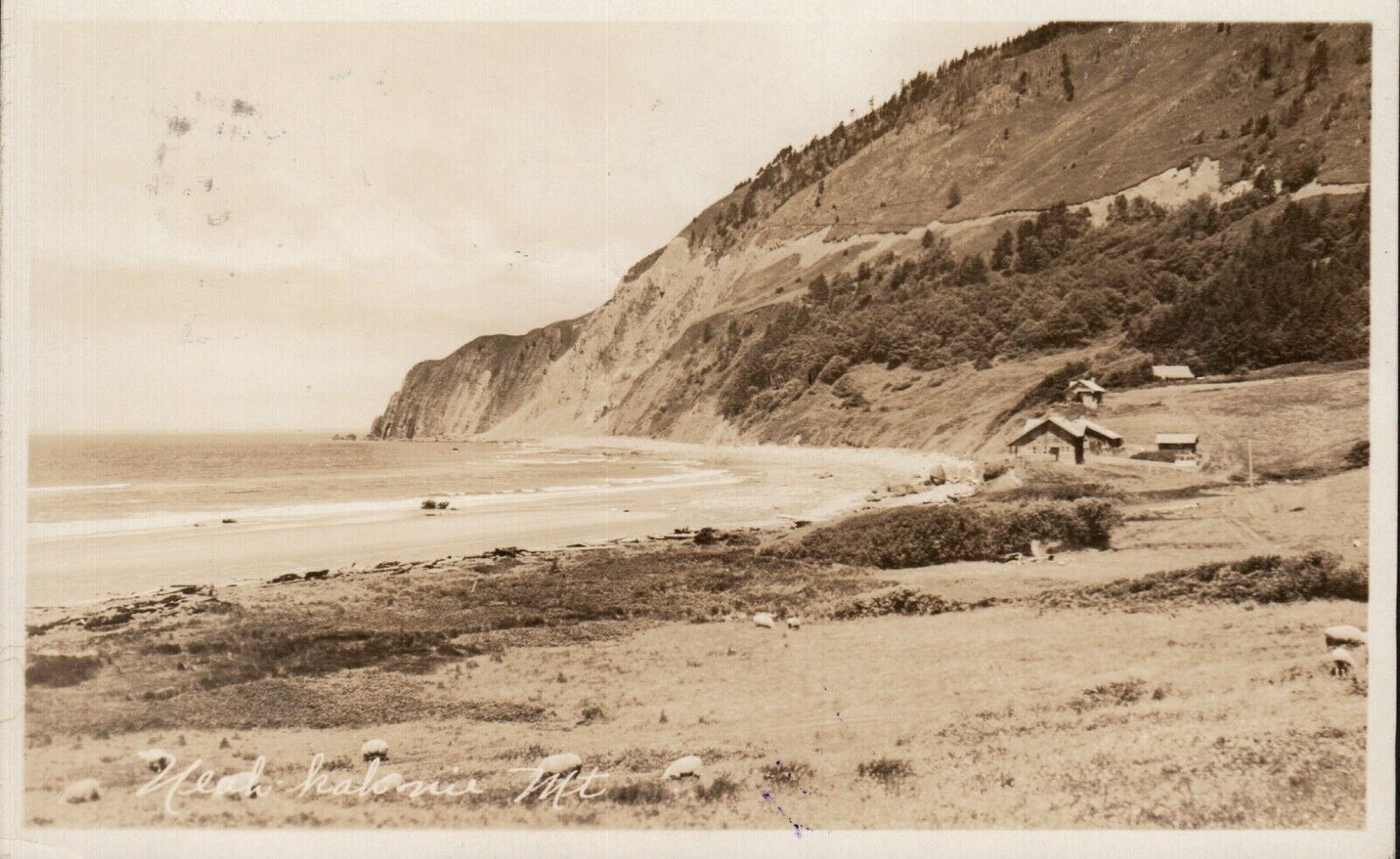 Neah-Kah-Nie Mountain RPPC Postcard Manzanita Oregon 1930 Pmk