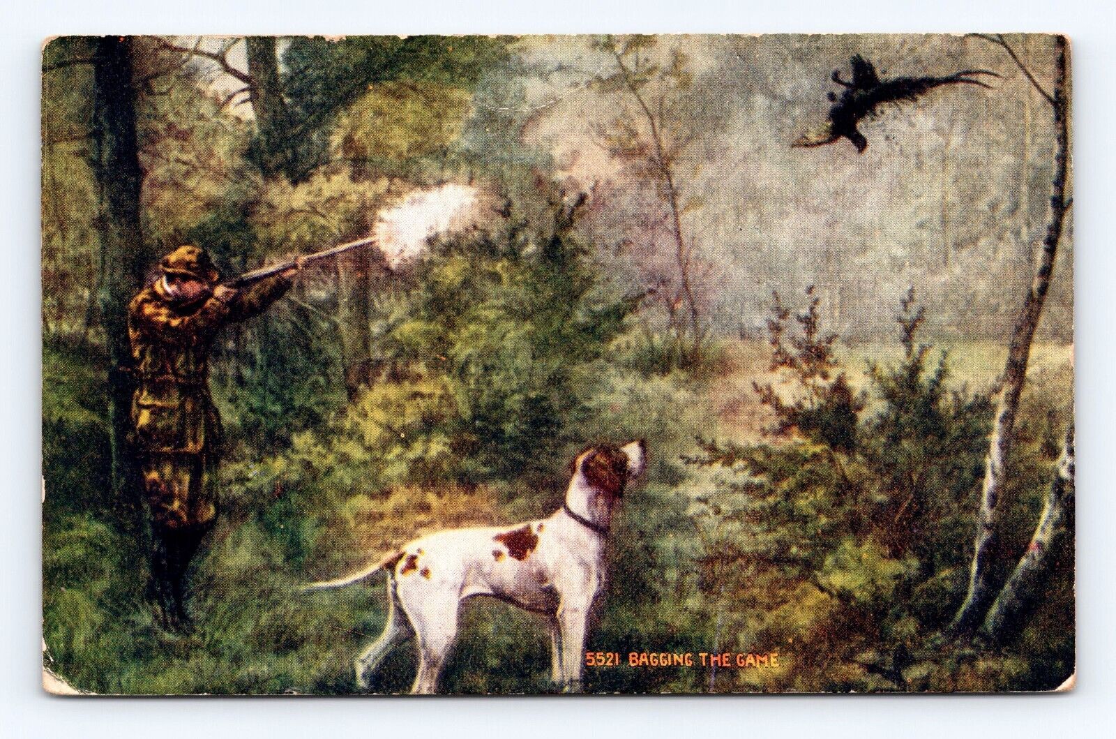 Old Postcard Hunting Dog Pointer Pheasants Shotgun Woodville TX 1909 Cancel