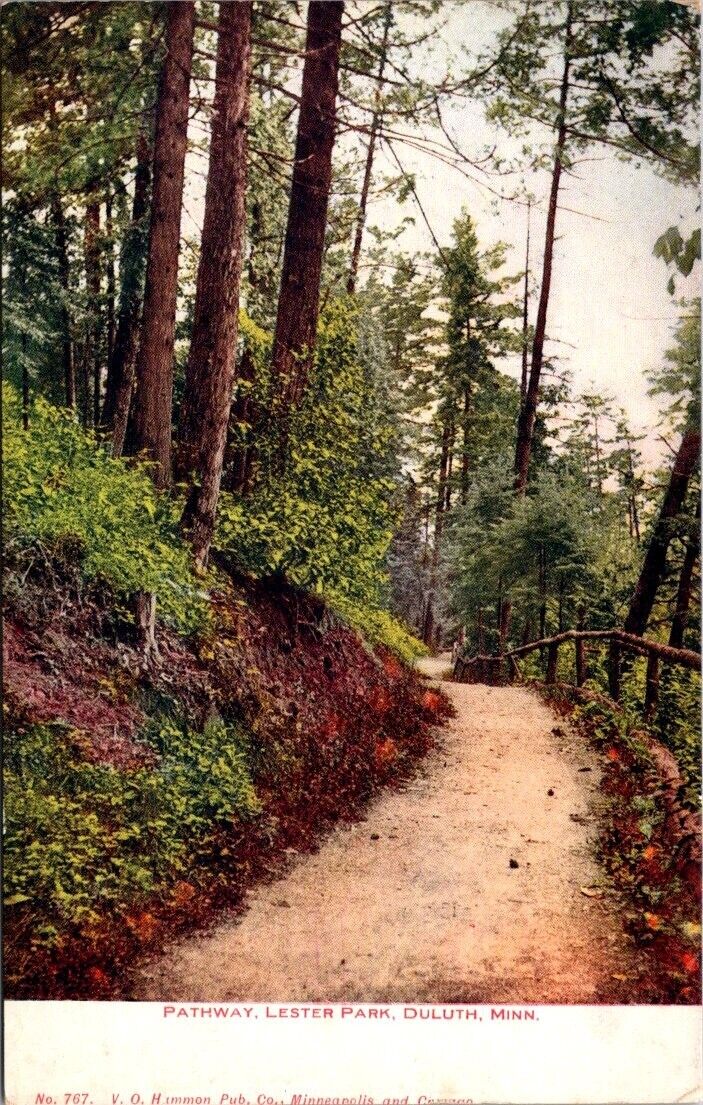 Pathway Lester Park Duluth MN Minn Postcard Unposted Divided Back