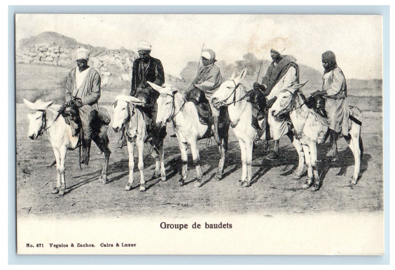 c1905 Riding Horses, Groupe De Baudets Egypt Unposted Antique Postcard