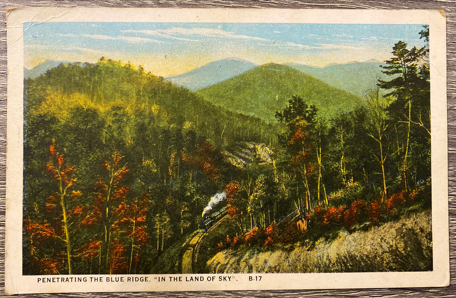 Vtg Postcard Blue Ridge Mountains North Carolina Posted Retro Nature Collection