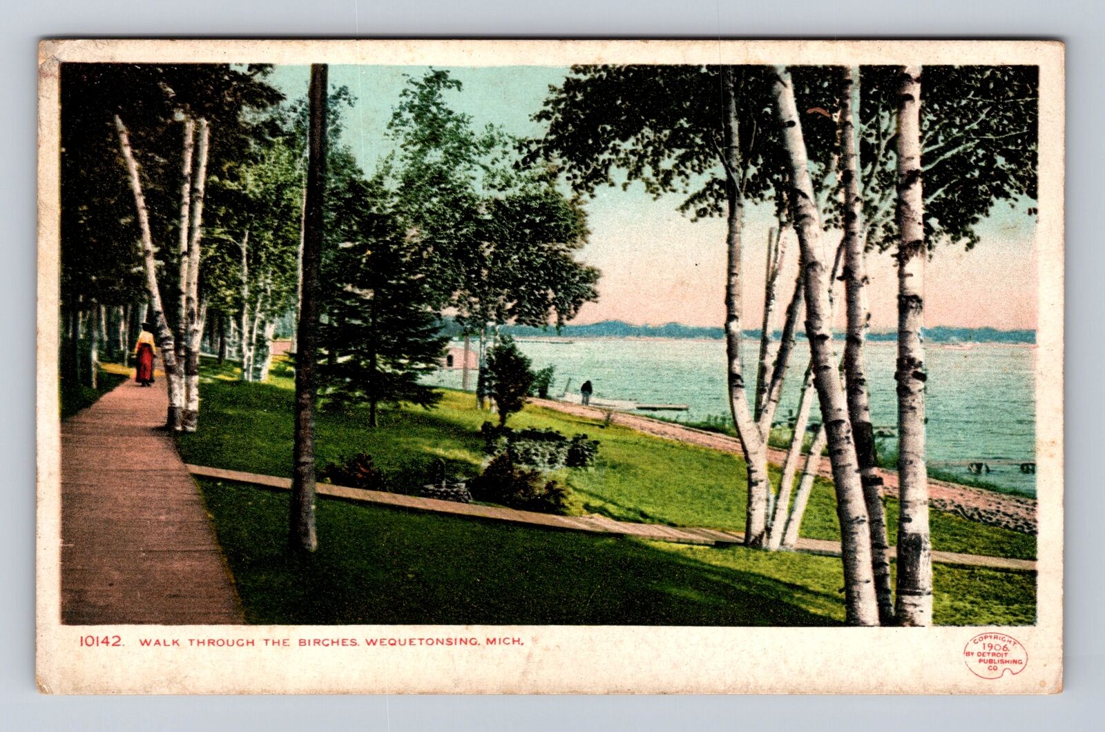 Wequetonsing MI-Michigan, Walk Through The Birches Antique Vintage Postcard