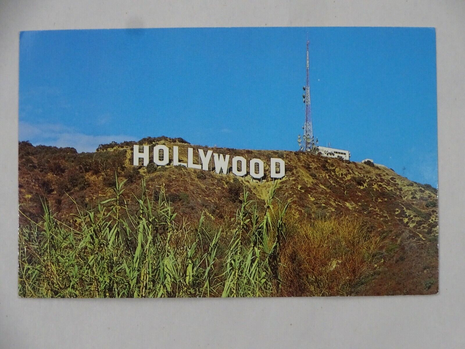 1988 Postcard Hollywood Sign CA USA Unposted