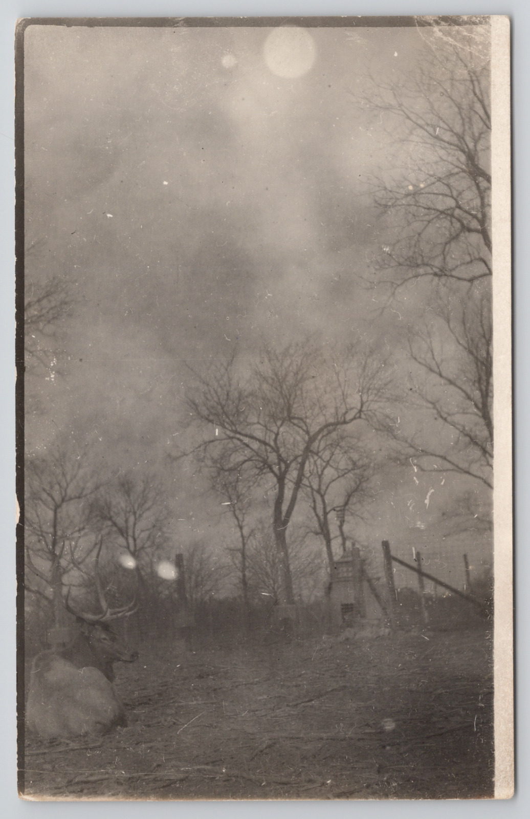 RPPC Kansas City Missouri Elk Swope Park at Night c1910 Real Photo Postcard
