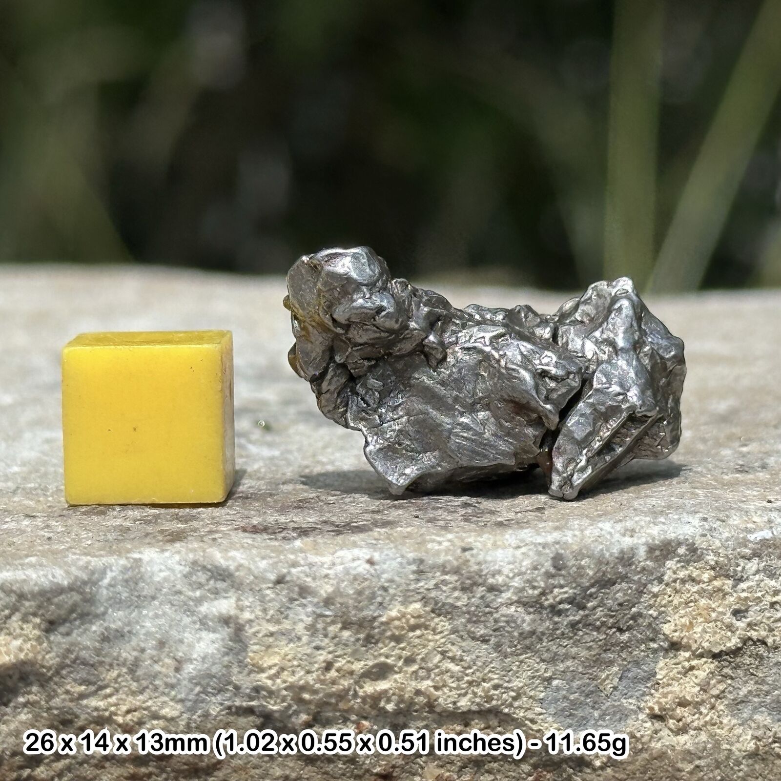 Real Space Meteorite Rock - Nickel-Iron Campo del Cielo - UK Seller
