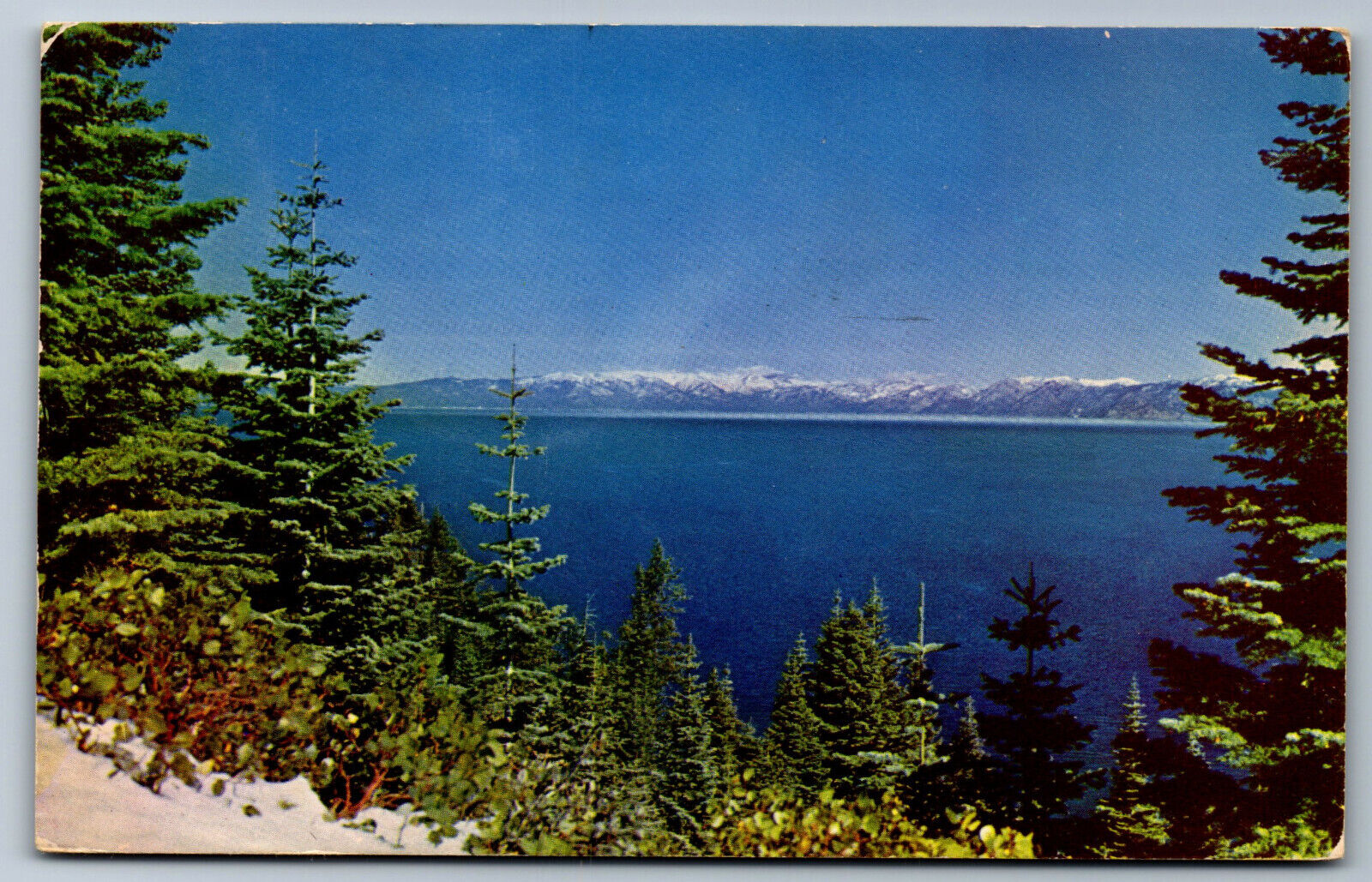 Postcard NV c.1950\'s Lake Tahoe W10