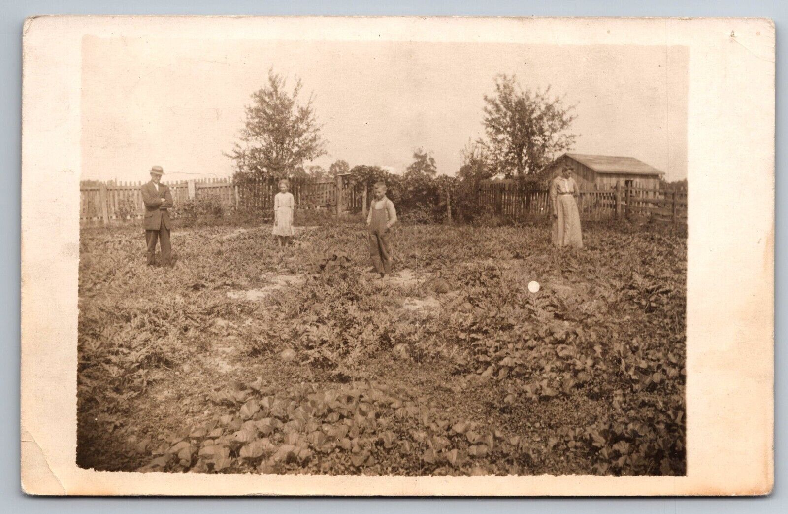 RPPC Family Standing in Garden Looking at Crops c1910s Real Photo Postcard