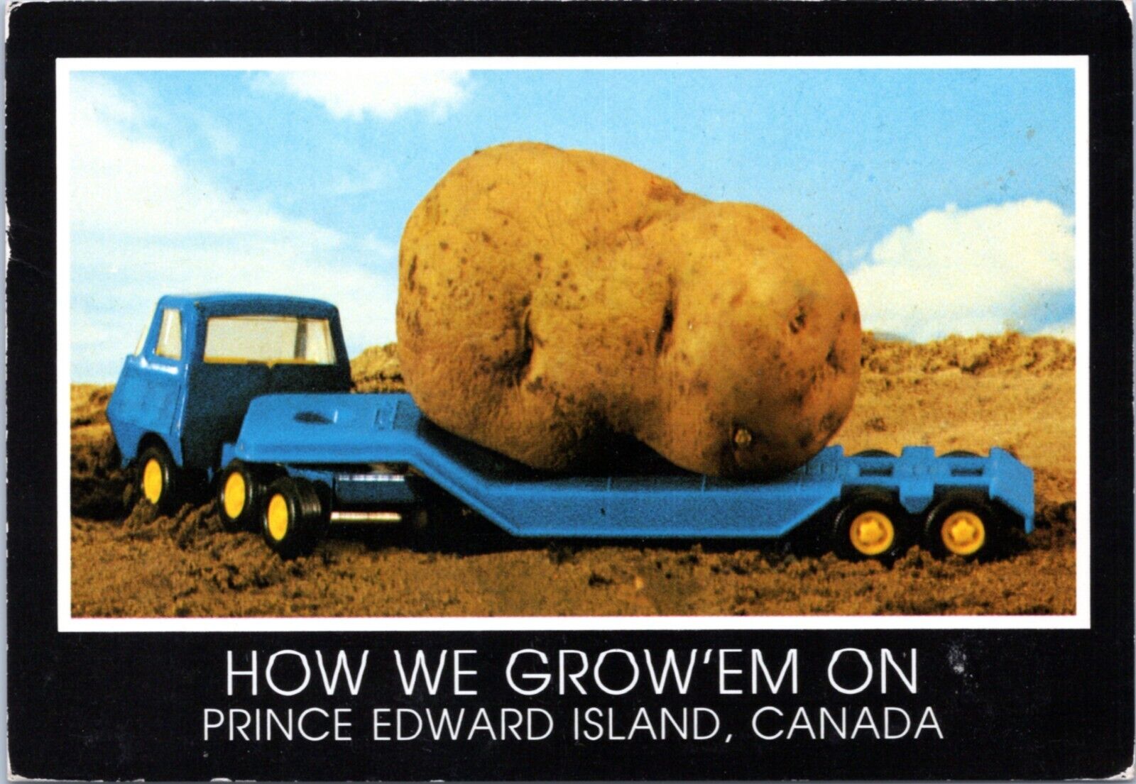 Postcard Exaggeration - Prince Edward Island Potato