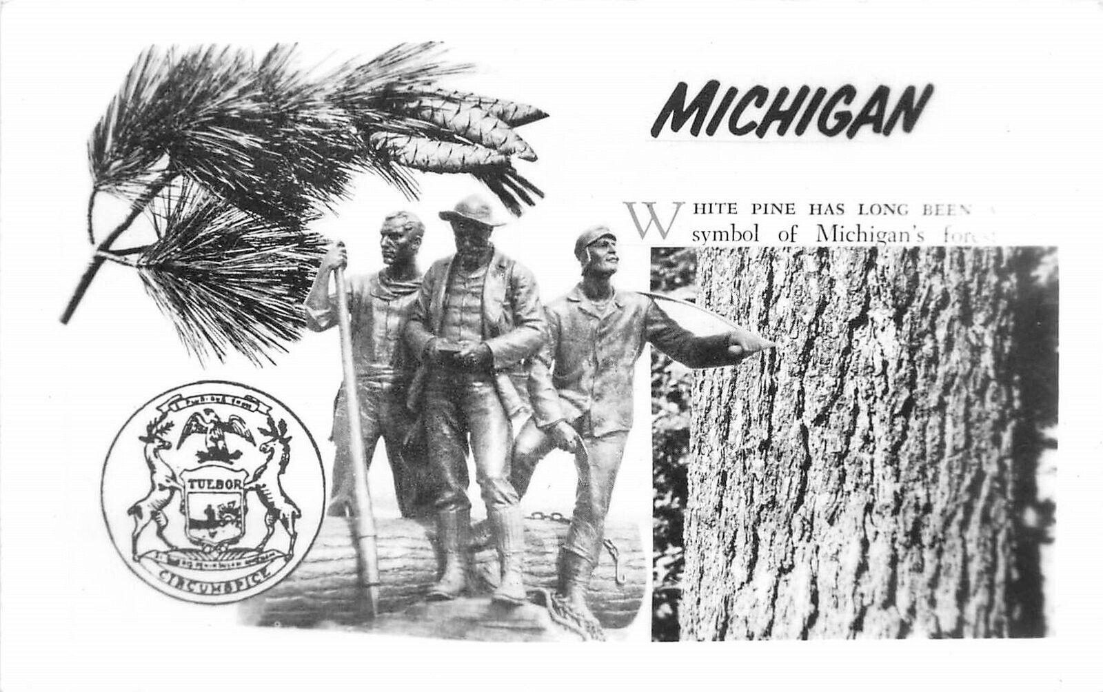 Postcard RPPC 1960 Michigan White Pine Lumber Jacks Civic Booster 23-3812