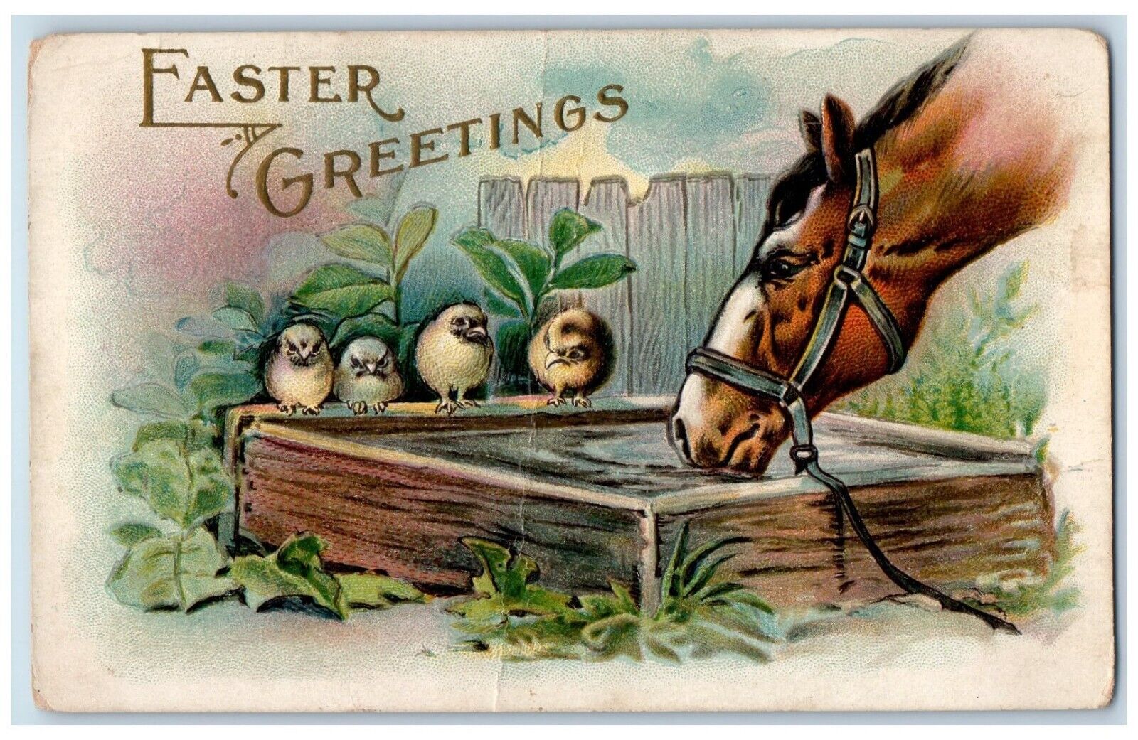 c1910\'s Easter Greetings Chicks Horse Drinking Water Embossed Antique Postcard