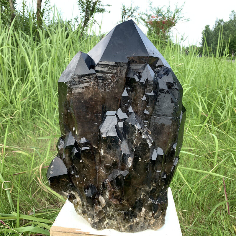 90LB Natural smokey quartz rare backbone crystal specimen --6