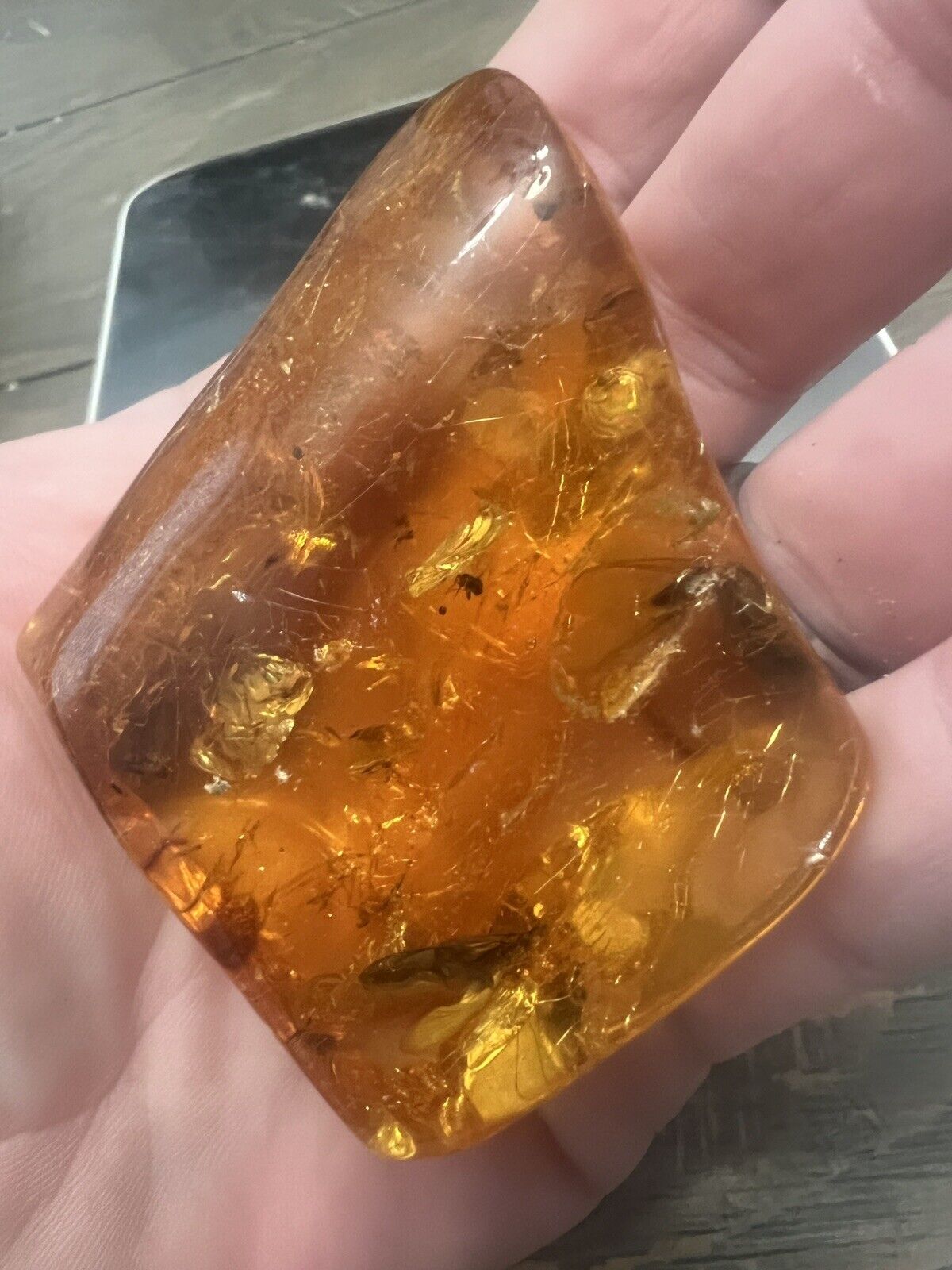 Polished Amber From The Baltic Sea In POLAND 50 g with many bugs flies