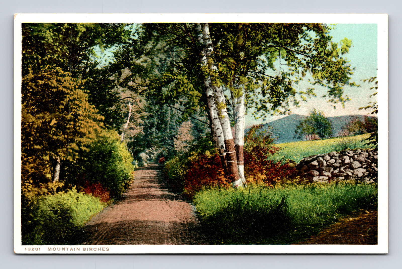 Scenic View Mountain Birches NH? NH PHOSTINT Postcard
