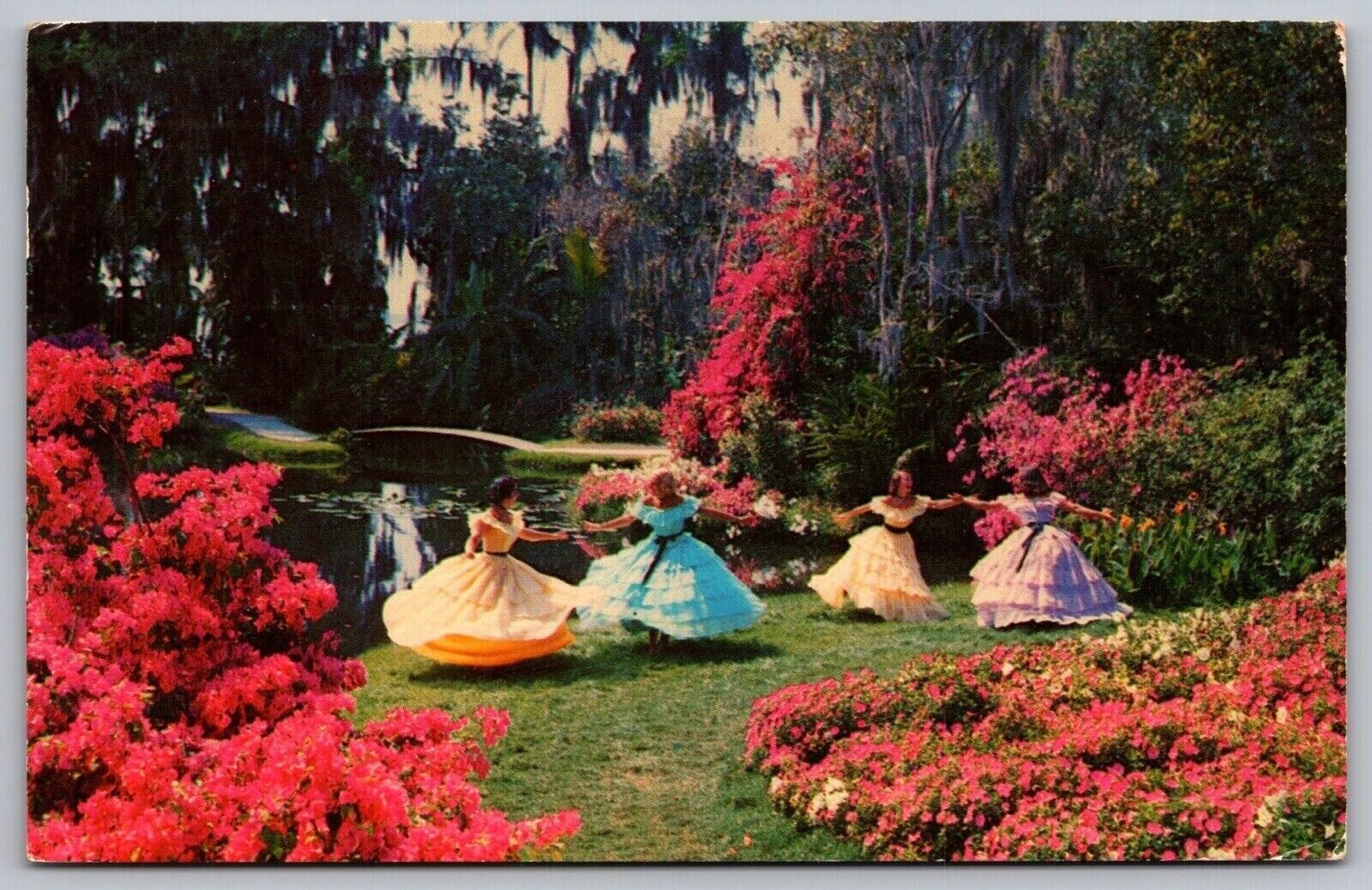 Happy Times Florida Garden Bougainvillea Azaleas Petunias Cypress FL PM Postcard