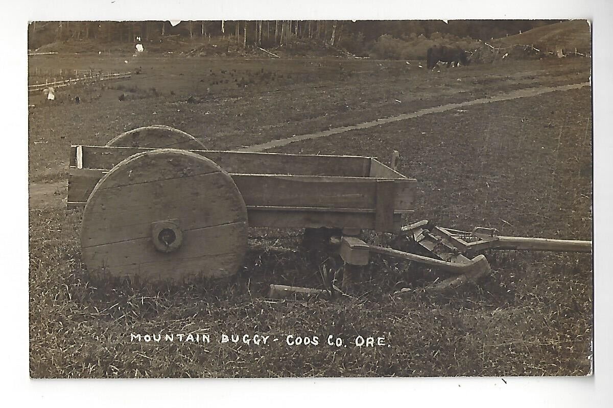 1911 Mountain Buggy - Coos Co. Oregon RPPC