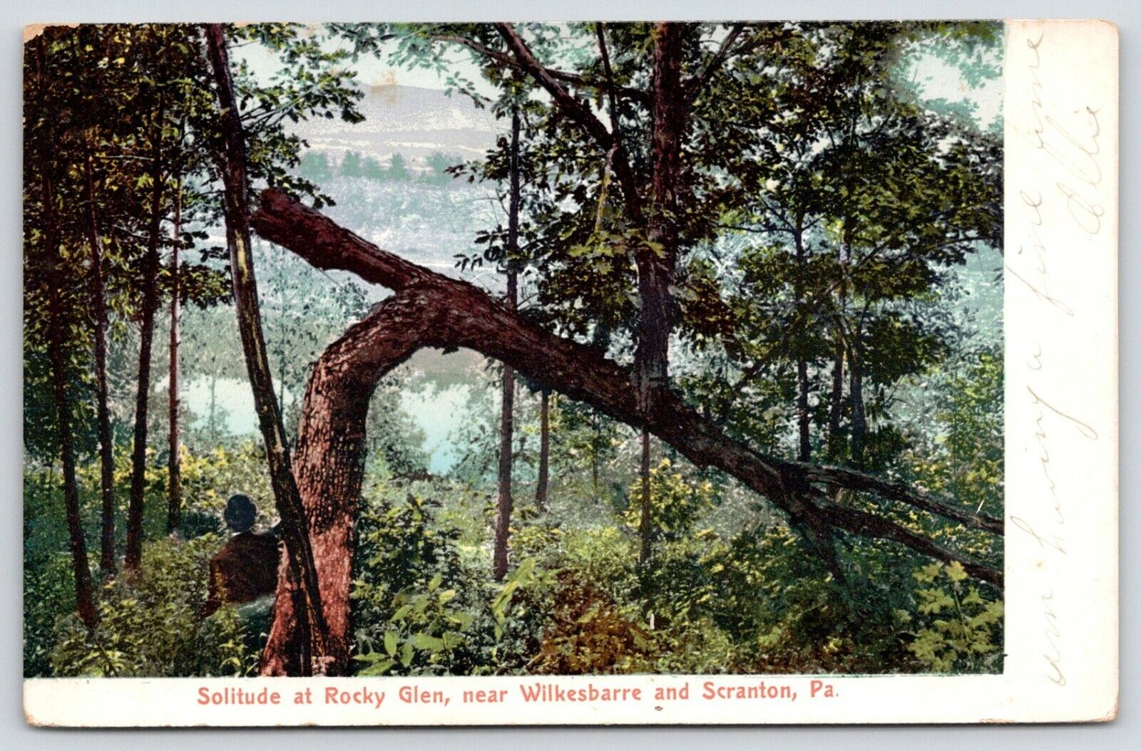 Wilkes-Barre-Scranton PA~Moosic (Rocky Glen) Fallen Tree Near Pond~1908