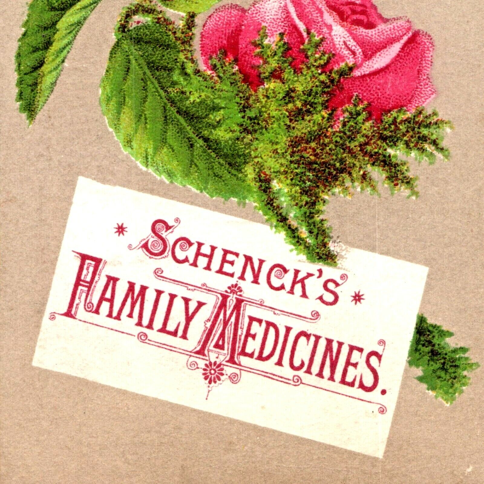 c1880s Quack Schenck\'s Medicine Victorian Trade Card Pills Rose Art Nouveau C2