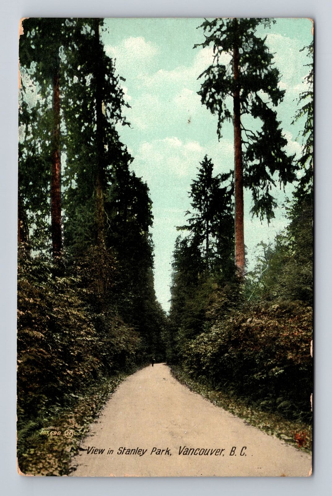 Vancouver-British Columbia, Scenic View Stanley Park, Antique Vintage Postcard
