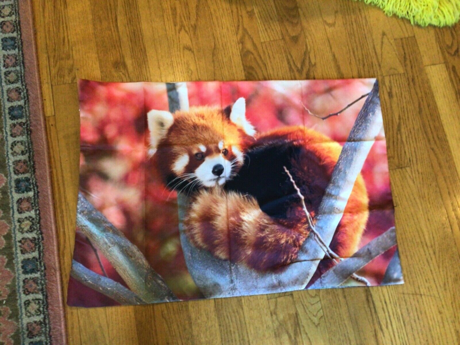 Silky. Adorable Red Panda Pillow Case 19x 27” Zoo Animals Wildlife,hidden zipper