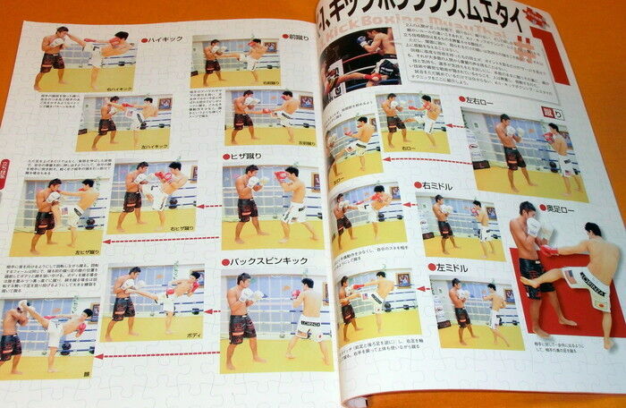 Martial arts Technique Encyclopedia book karate sumo sambo taekwon-do etc #0513