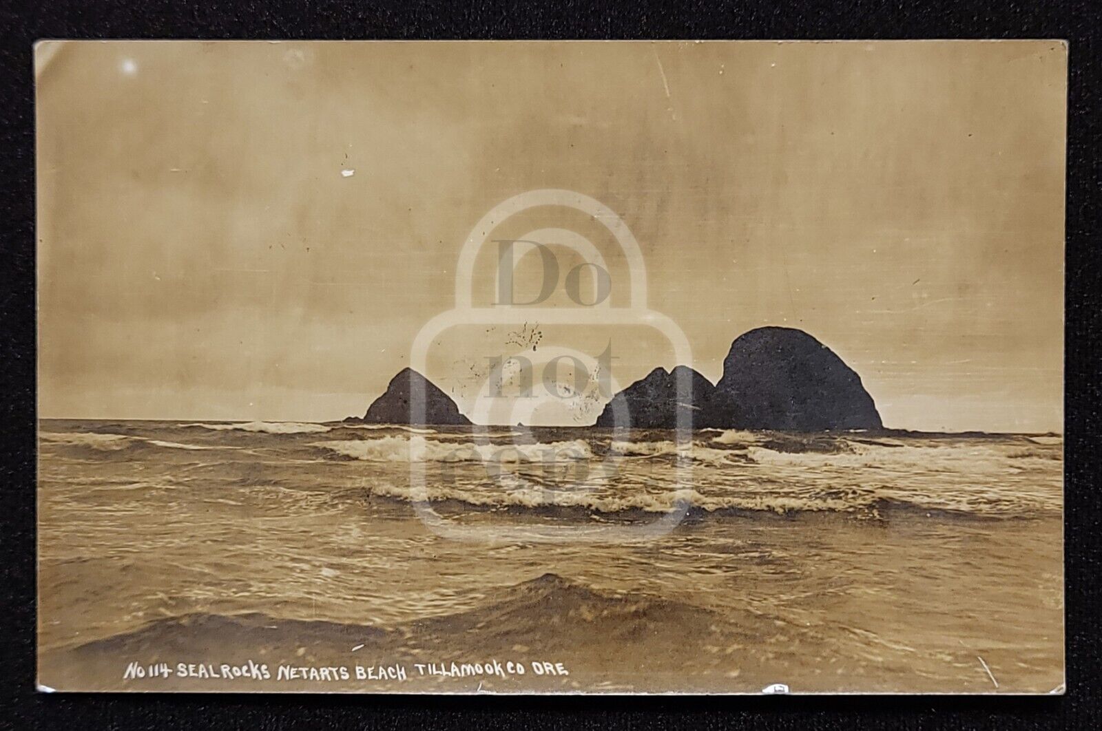 Scarce RPPC of Seal Rocks. Netarts Beach, Oregon. C 1914 Patton? Tillamook Co.