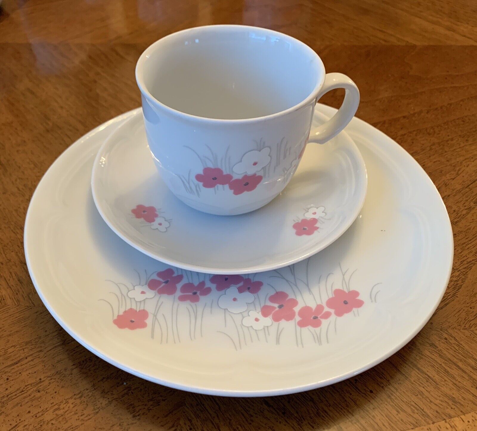 70’s Kahla GDR Germany Teacup & Saucer Set of 6 Pink Flowers Porcelain 21 Pie
