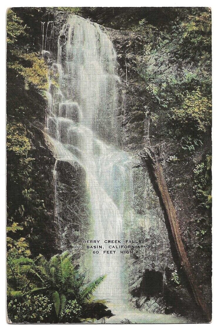 Big Basin California c1940's Berry Creek Falls, waterfall