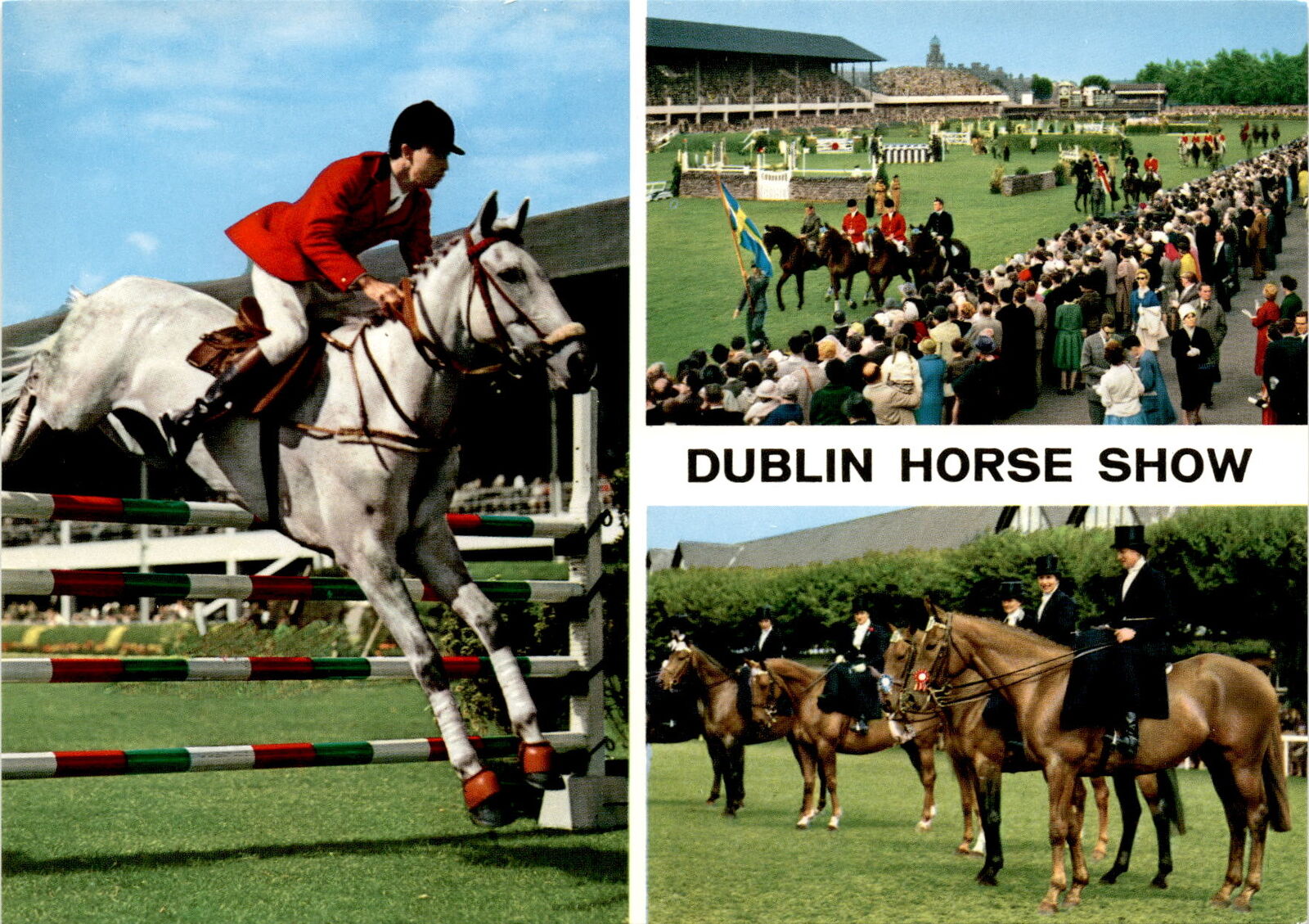 Ireland\'s famous Dublin Horse Show  postcard