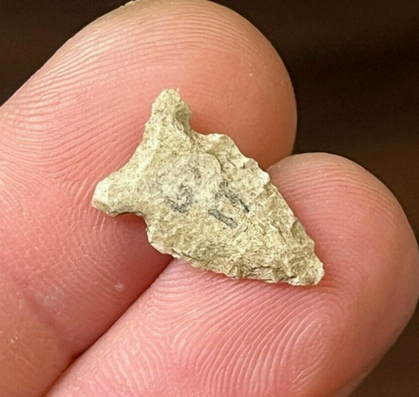 OUTSTANDING REED POINT ILLINOIS AUTHENTIC ARROWHEAD INDIAN ARTIFACT Q23