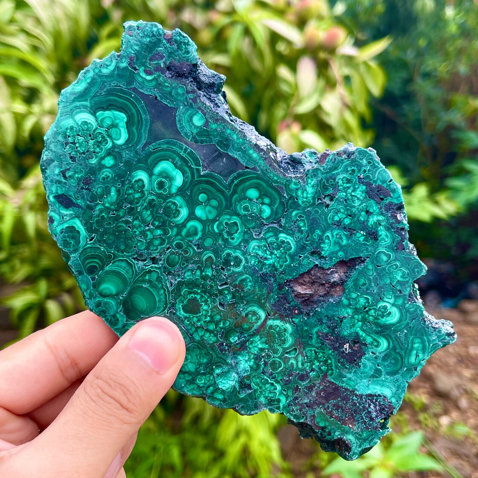 391G Natural glossy Malachite transparent cluster rough mineral sample