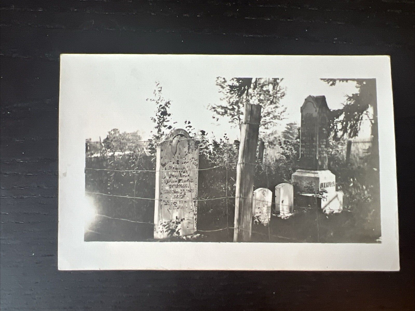 Vtg Postcard RPPC Cemetery Unknown Location Headstones 1904-1920s