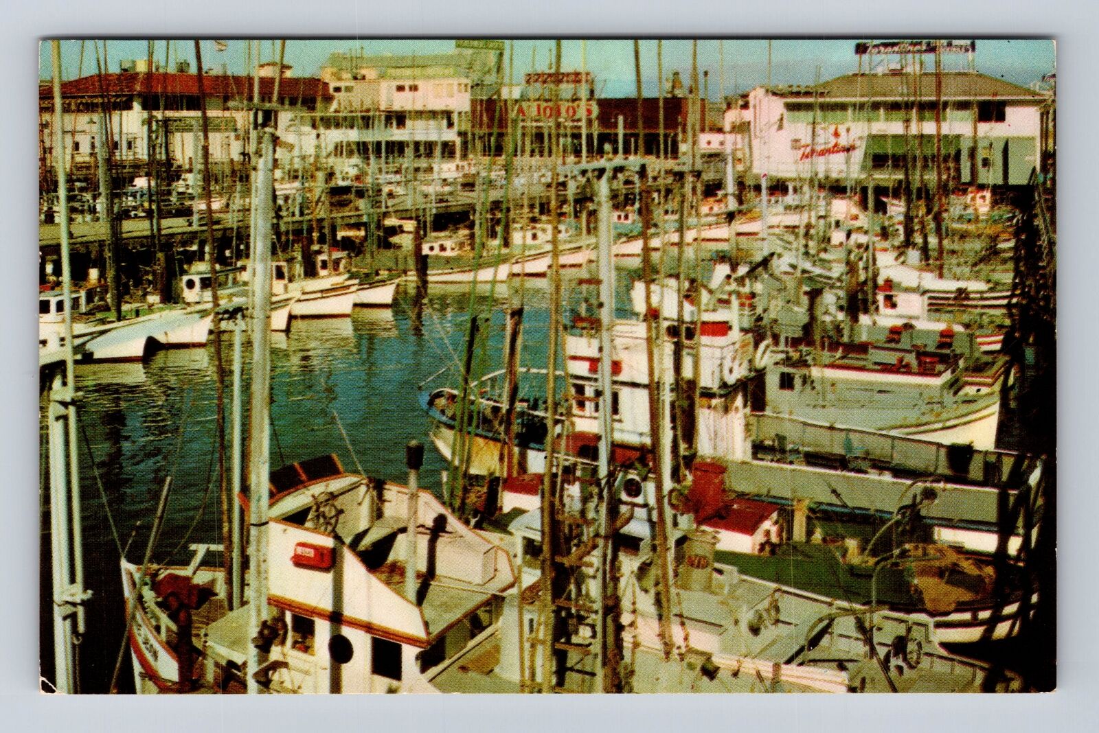 San Francisco CA-California, Fishing Fleet, Antique, Vintage Souvenir Postcard