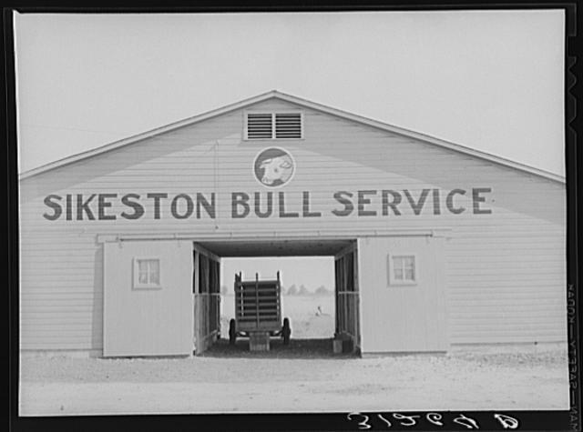 Sikeston,Missouri,MO,Scott County,Farm Security Administration,1938,FSA