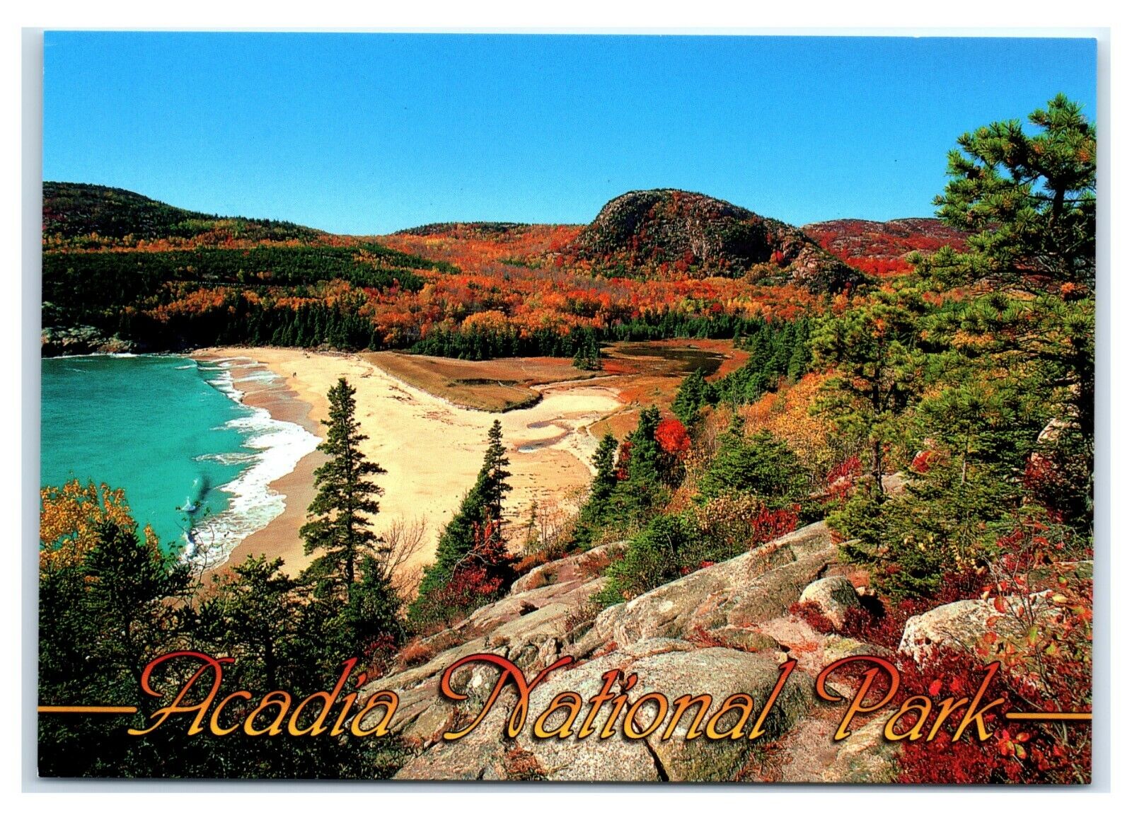 Postcard Acadia National Park Autumn View Sand Beach & Beehive Maine ME MS813A
