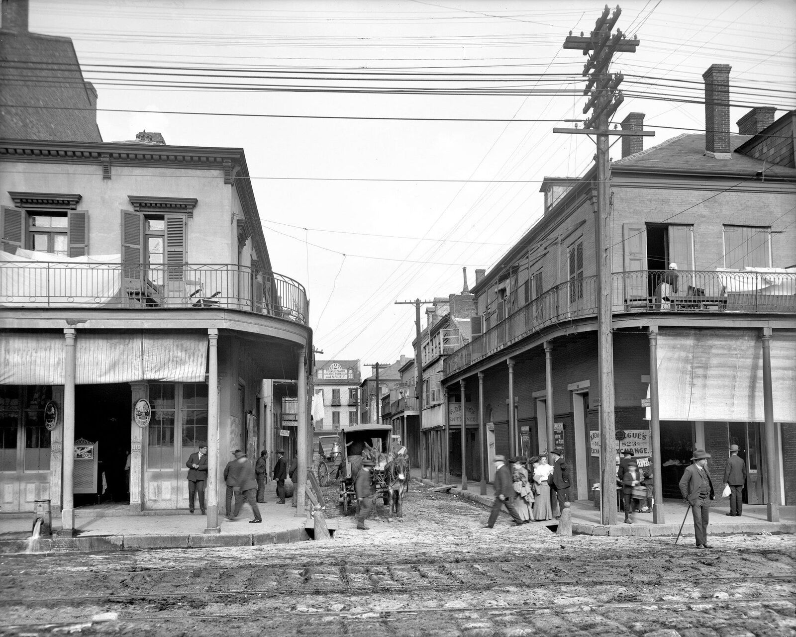 1906 NEW ORLEANS Madison St PHOTO  (192-Z)