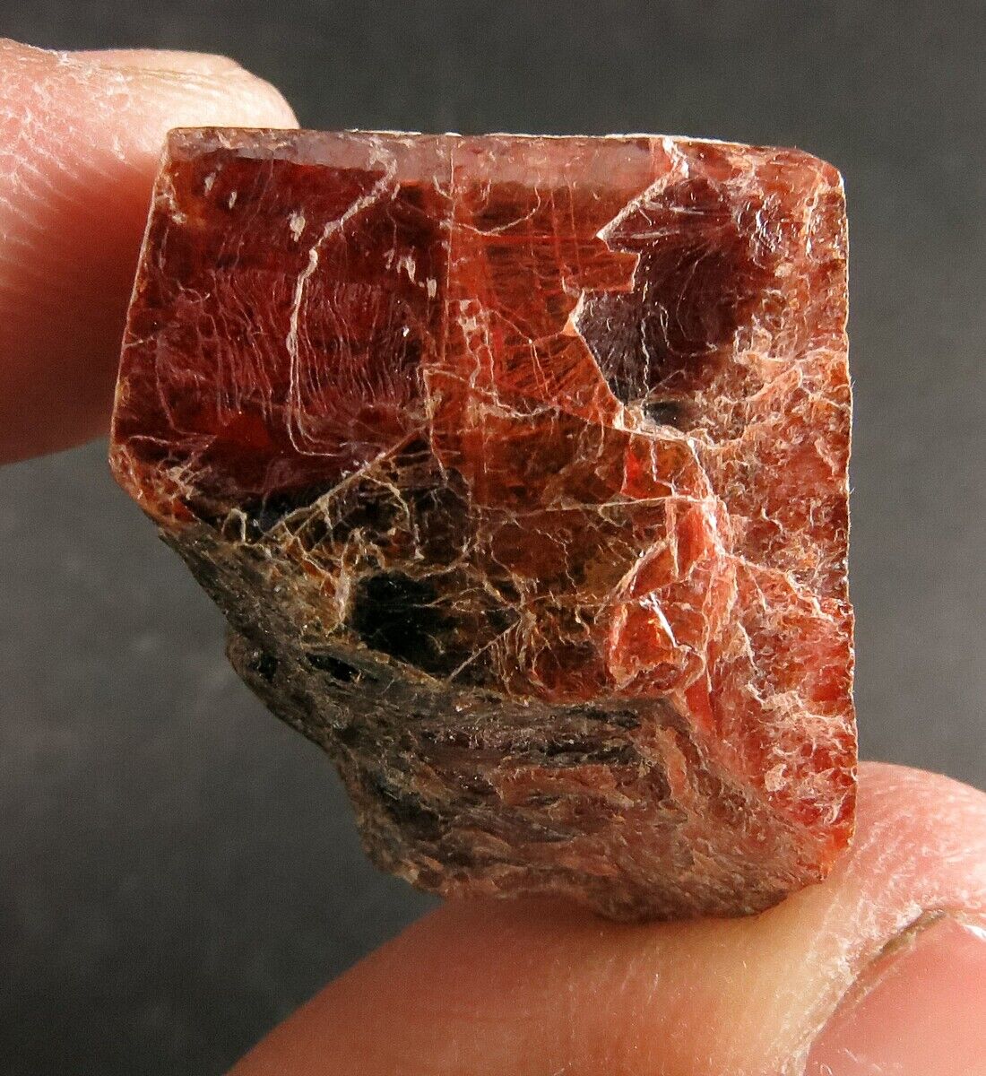 85 CARAT RARE DEEP RED TANTALITE CRYSTAL FROM AFGHANISTAN 