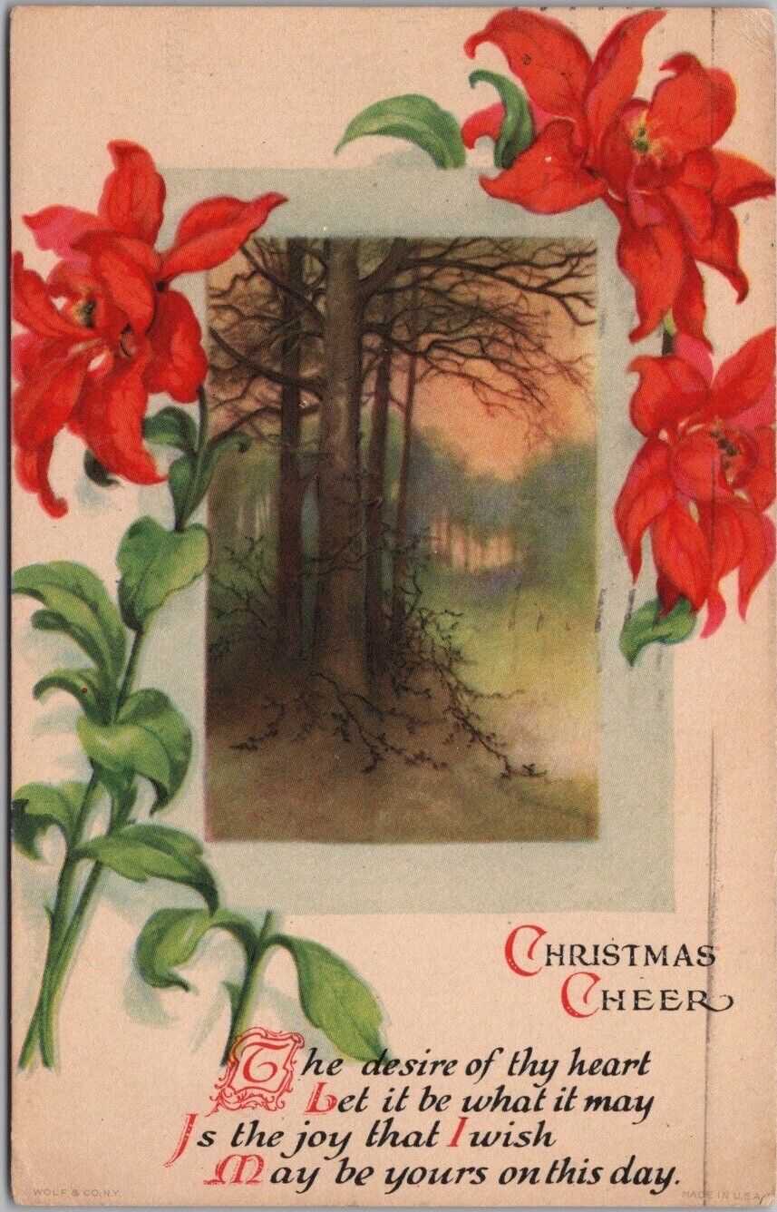 Vintage Wolf CHRISTMAS CHEER Postcard Poinsettia Flowers / Un-Signed CLAPSADDLE