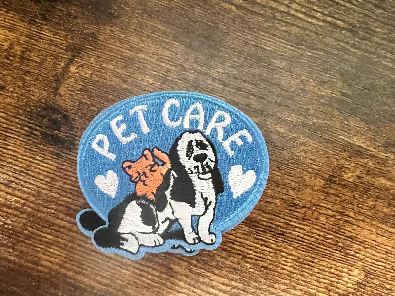 PATCH GSA Girl Scouts Pet Care Black White Dog Brown Kitten Cat GSOSW
