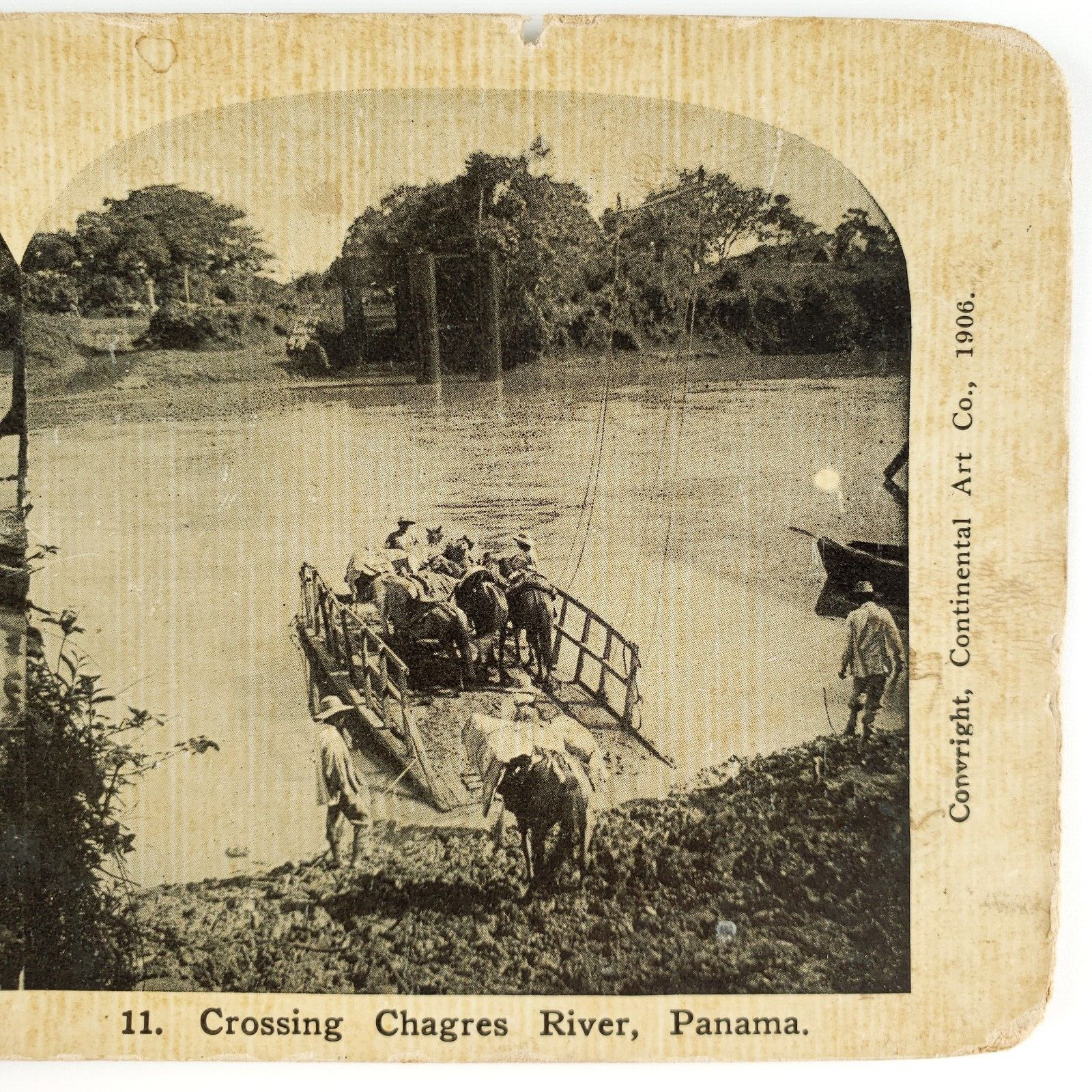 Horses Crossing Chagres River Stereoview c1906 Panama Canal Ferry Boat B1055