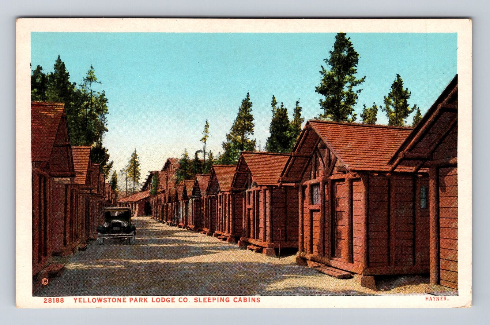 Yellowstone National Park, Lodge Co Sleeping Cabins, #28188 Vintage Postcard