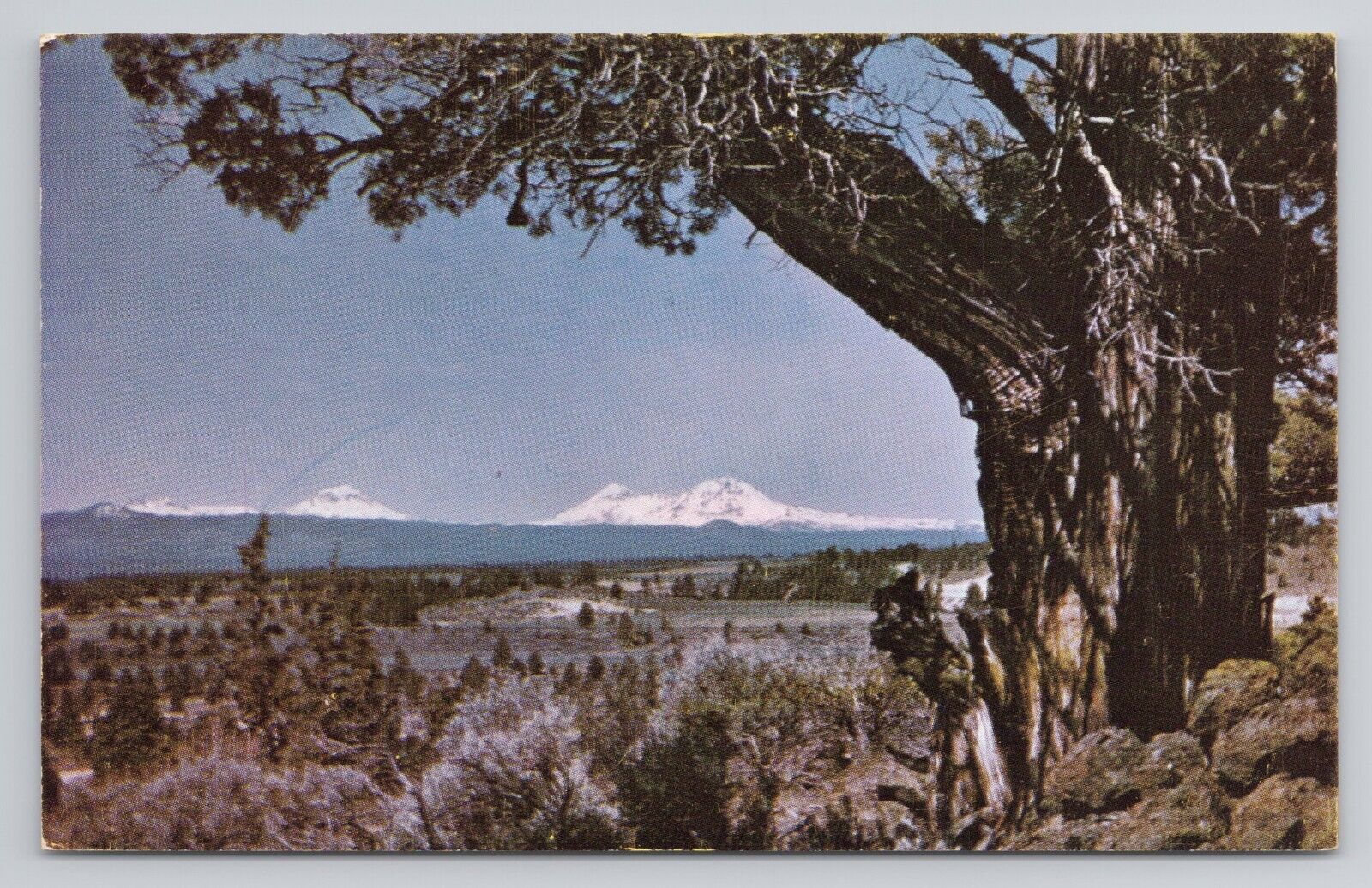 Three Sisters Oregon Postcard 3574