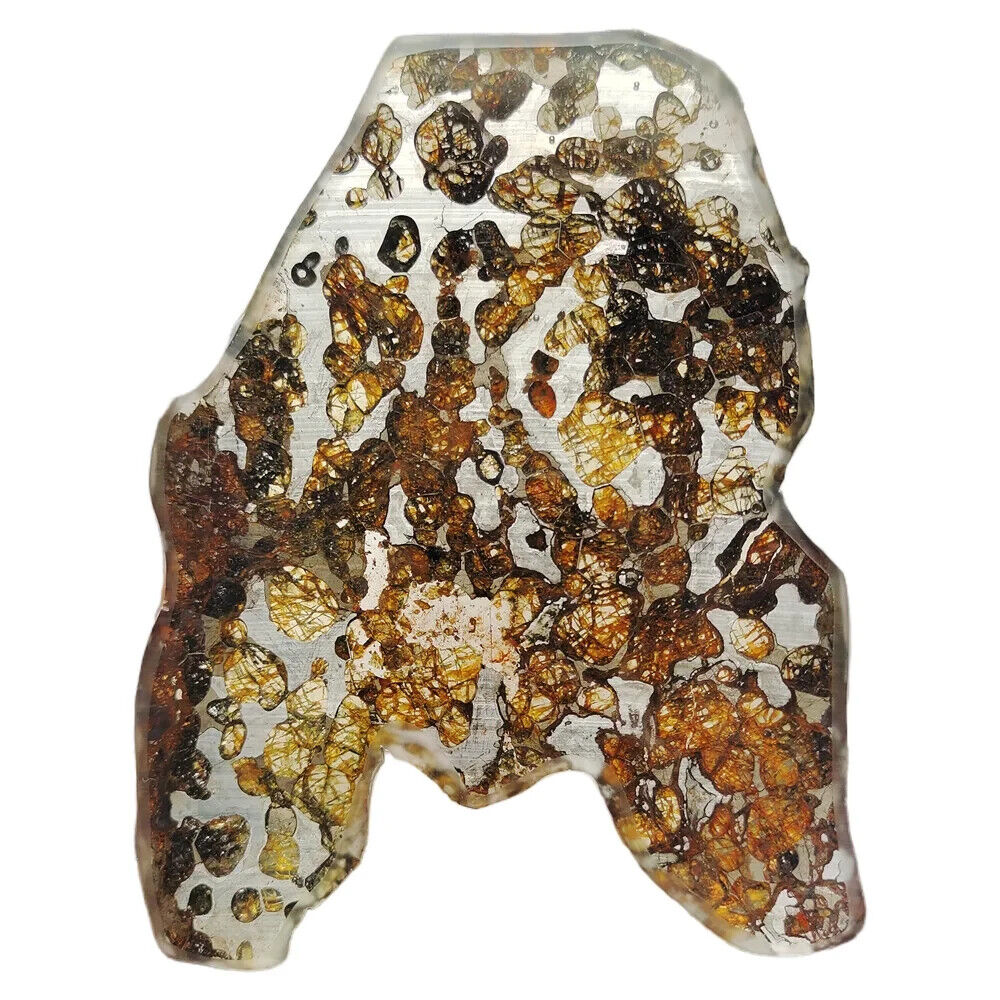 114g Brenham pallasite Meteorite slice - from usa QA108
