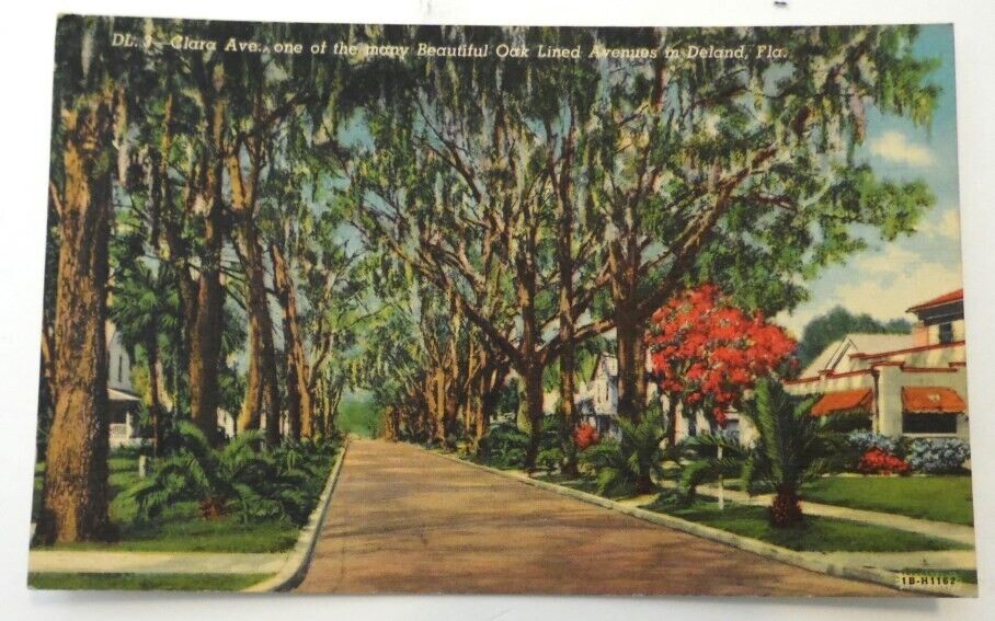 DE LAND, FLA. Post Card~VIEW OF TREE LINED Clara AVE.